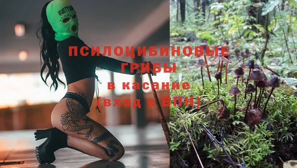 сатива Абдулино