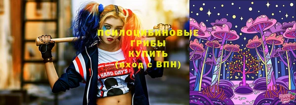 сатива Абдулино
