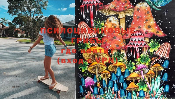 марки lsd Абинск