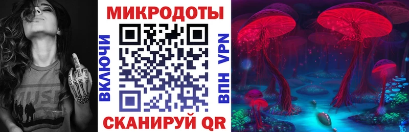 Галлюциногенные грибы прущие грибы Духовщина